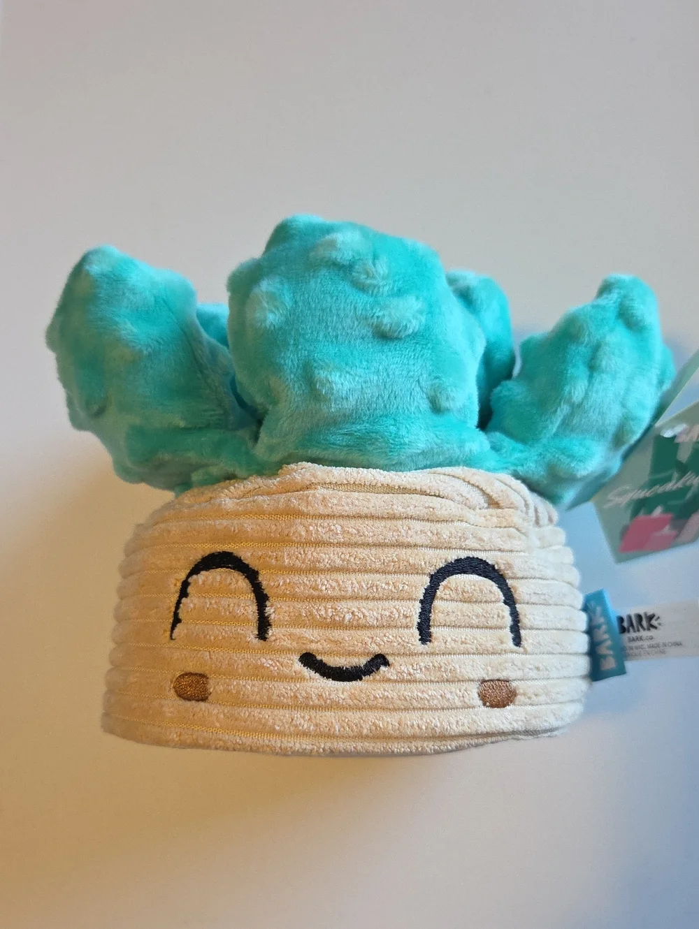 💰 3 For $30 Bark Box Plush Squeakulent Dog Toy - Teal & Cream